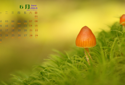 ​清明节的来历和习俗
