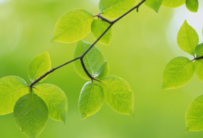 ​心情类的美文欣赏范文