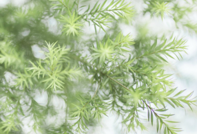 ​经典催款的微信朋友圈 清账不伤感情的句子