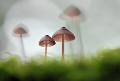 ​被闺蜜伤了心的句子(精选20句)