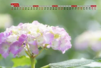 ​九月尾励志句子精选45句