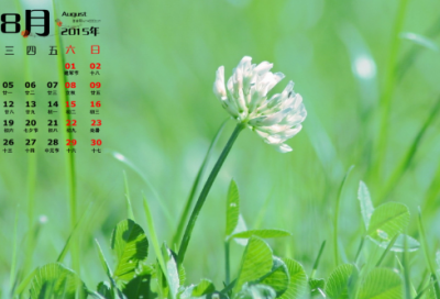 ​戒烟句子励志句子 最激励人戒烟的话(精选55句)