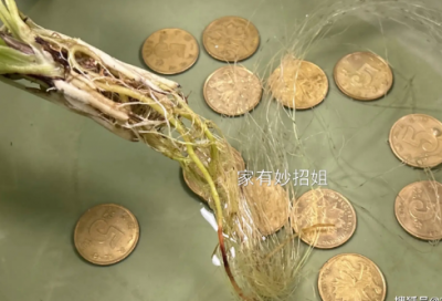 ​中考冲刺的励志句子(精选76句)