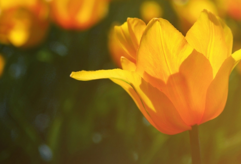 1756499644437422.png image.png