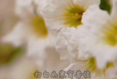 ​晒结婚证最搞笑的话