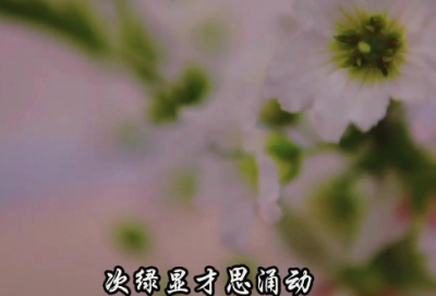 ​大学生宿舍春联带横批创意又搞笑