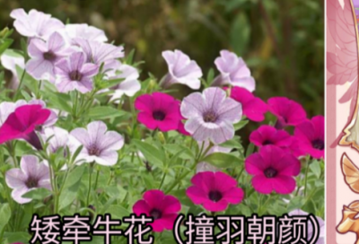 ​情人节幽默搞笑短信100句