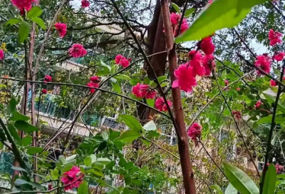​既无聊又逗比的说说83句