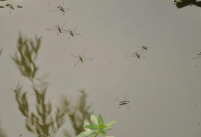​充满人生哲理的说说图片