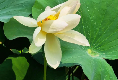 ​5月20说说82句