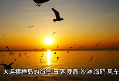 ​南怀瑾超经典语录60句