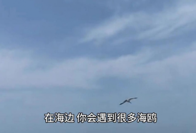 ​那些关于爱情的说说语录
