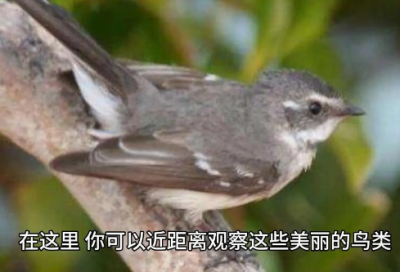 ​人生的语录65句