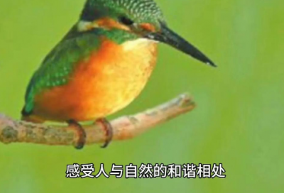 ​早安经典语录