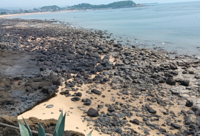 ​格雷厄姆格林经典语录(格雷厄姆的精彩投资语录)