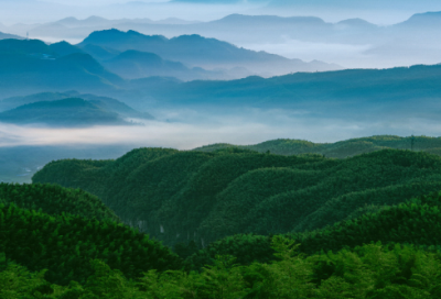 ​英文名著经典语录98句