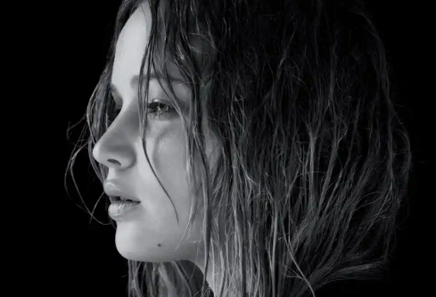 1767034395422648.png image.png