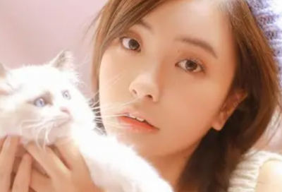 ​亲人离世伤感的短句 【100句精选】