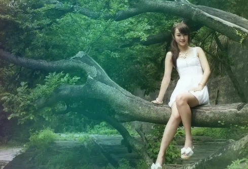 1767115338345441.png image.png