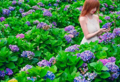 ​經典常用的早安问好经典话语(最火的早安问候语)