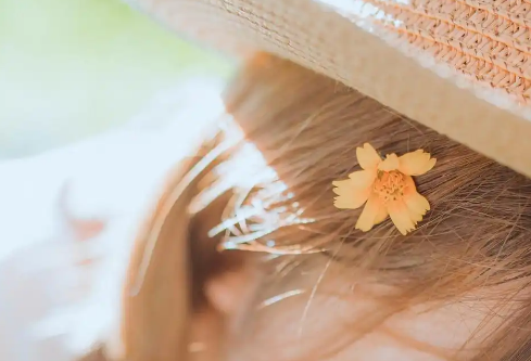 1767176956318911.png image.png