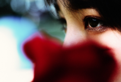 ​赞美书的句子 赞美书法的经典句子