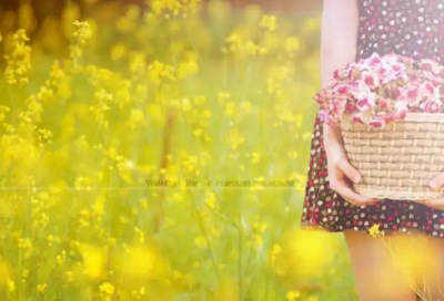 ​感恩老师的经典句子87句